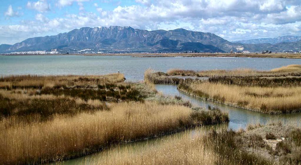 Mi Apartamento En El Delta Del Ebro Deltebre Εξωτερικό φωτογραφία