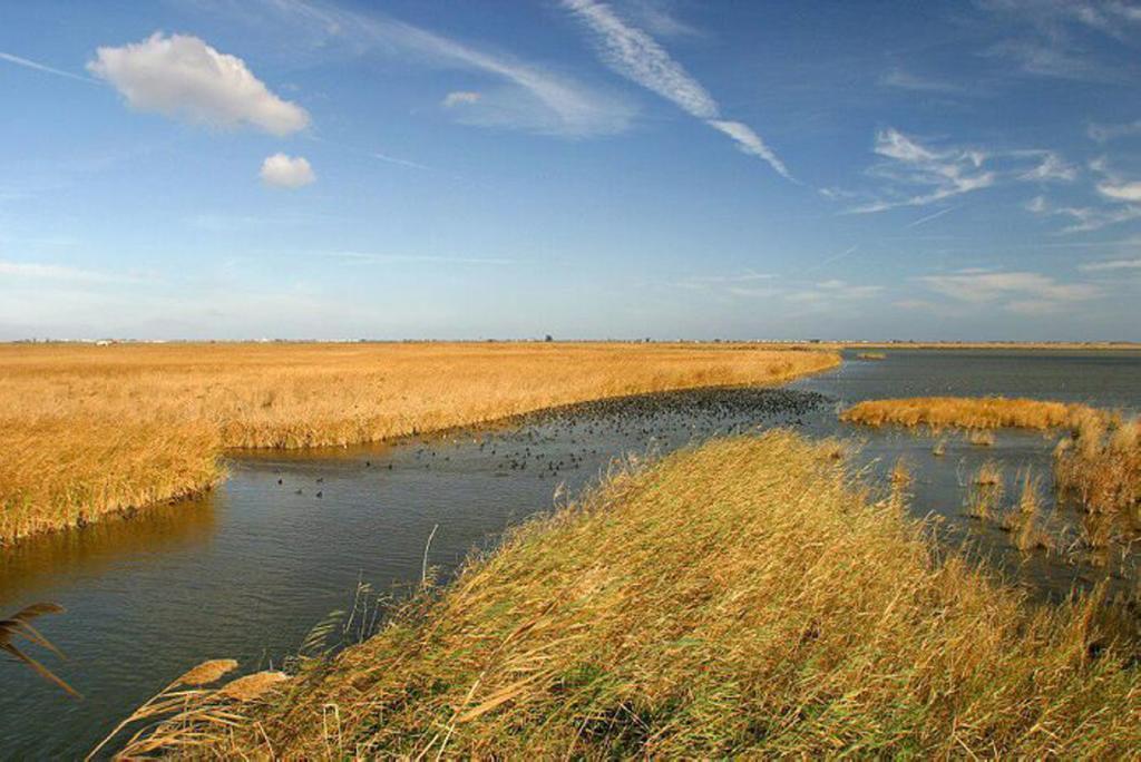 Mi Apartamento En El Delta Del Ebro Deltebre Εξωτερικό φωτογραφία