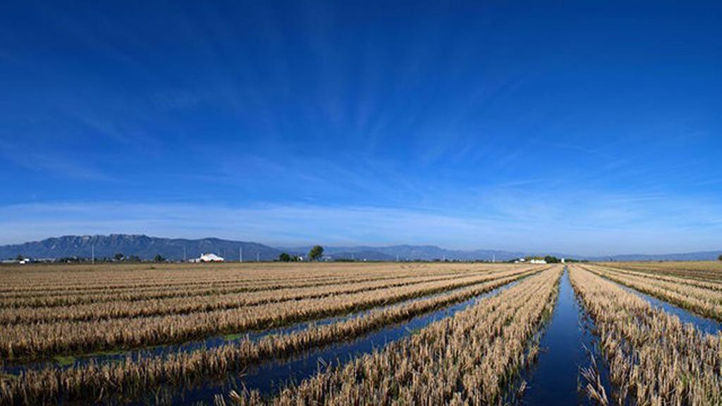 Mi Apartamento En El Delta Del Ebro Deltebre Εξωτερικό φωτογραφία