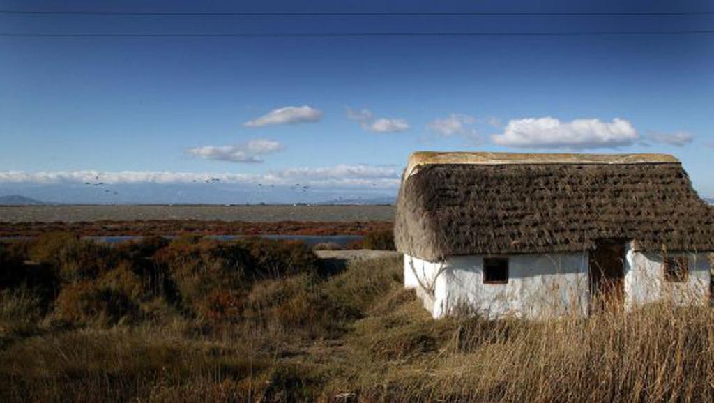 Mi Apartamento En El Delta Del Ebro Deltebre Εξωτερικό φωτογραφία
